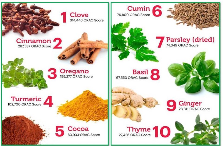 Herbs and spices rich in antioxidants