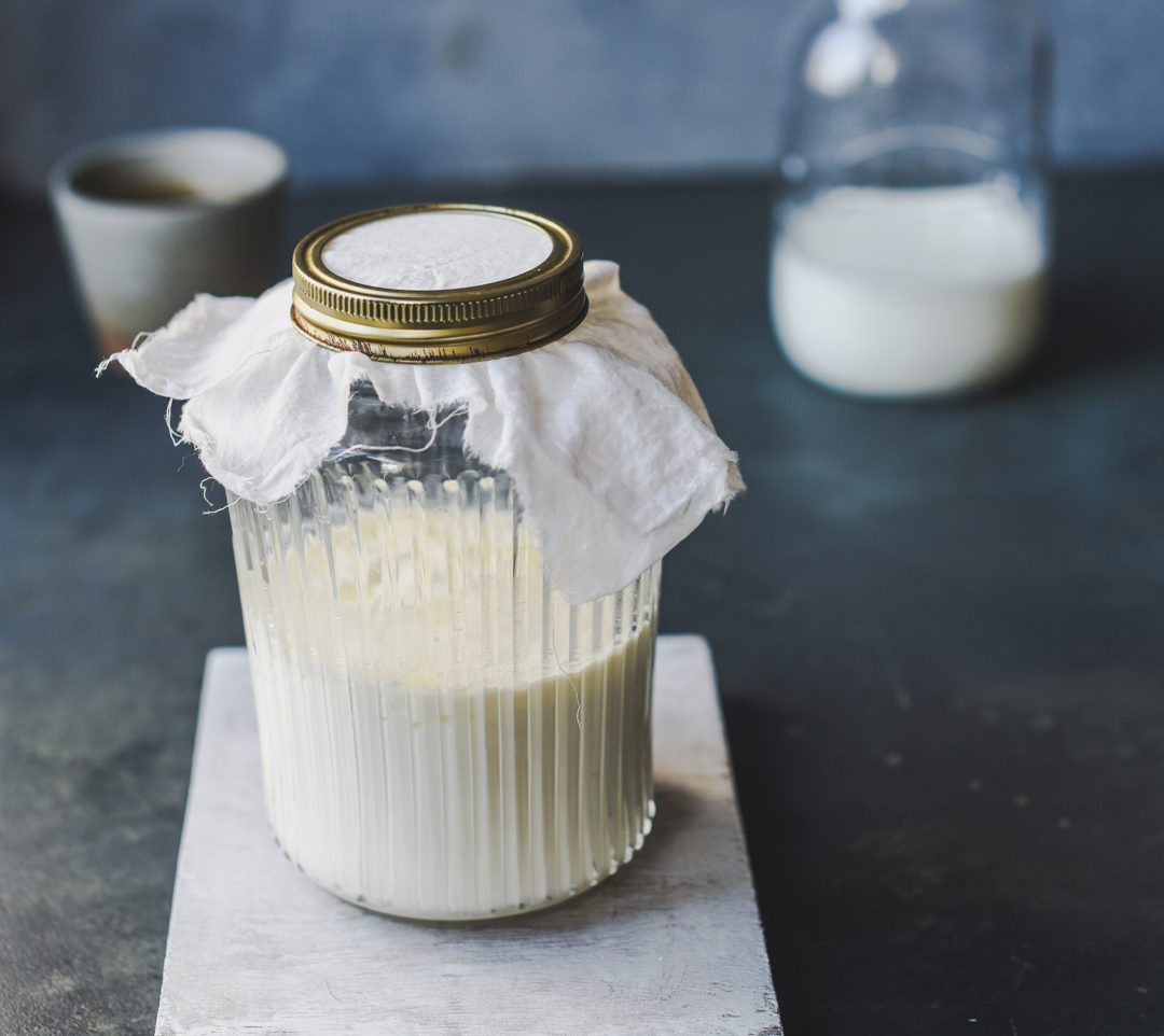 Kefir Grains