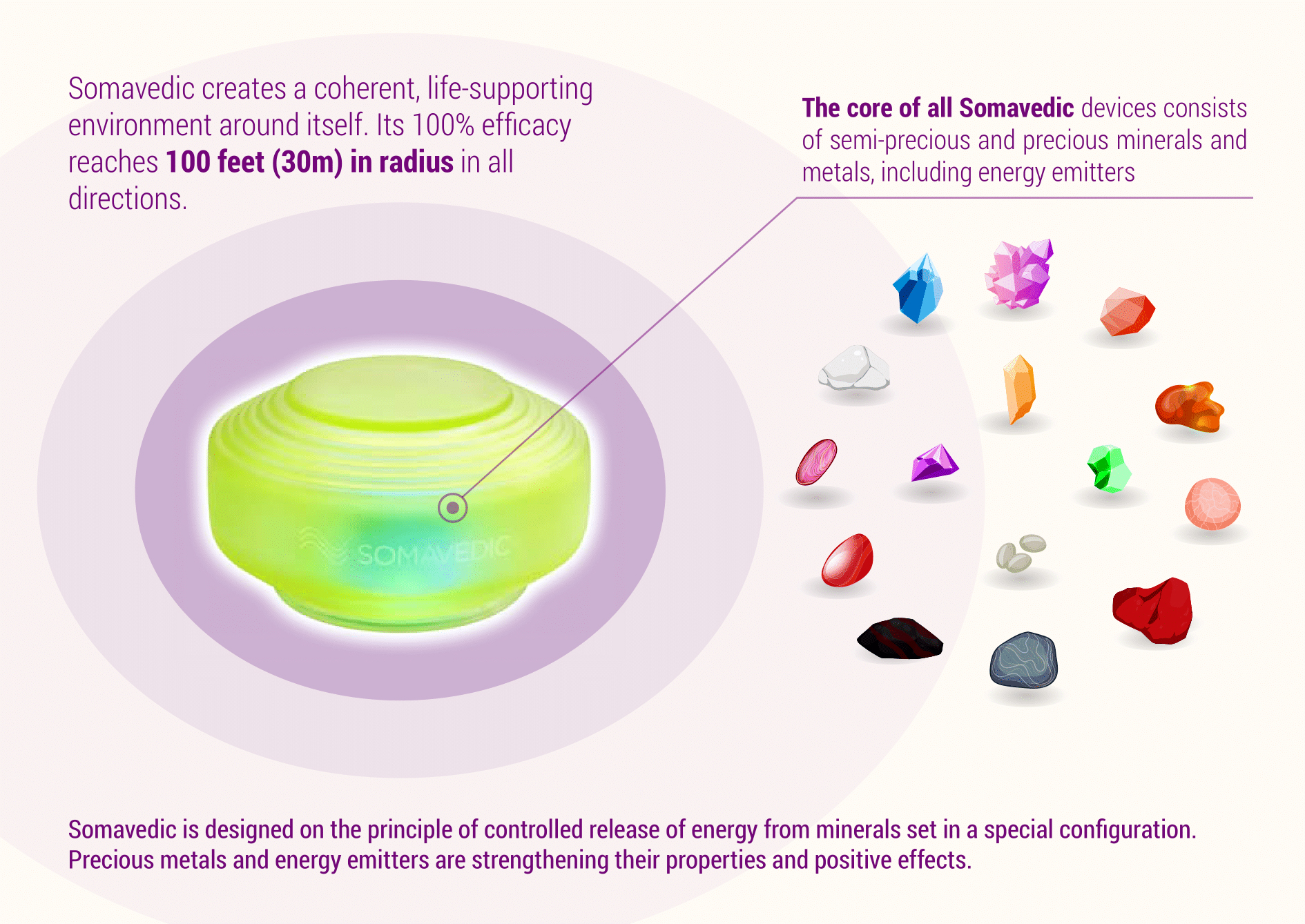 Somavedic Infographic
